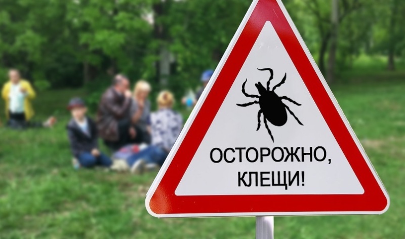 Осторожно! Клещи! 